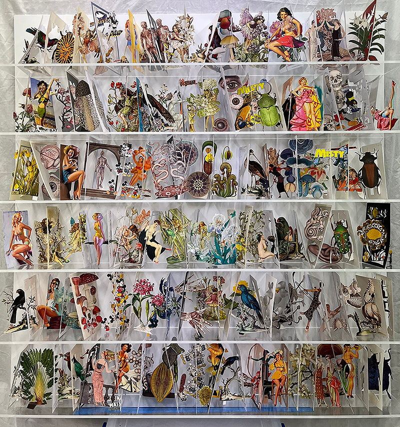 Cut postcards in an acrylic case by Jack Milroy, titled Six short stories in search of an author