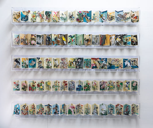 Five cut Japanese books in five acrylic cases by Jack Milroy, titled The Japanese Librarians Secret Garden.