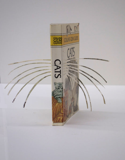 A cut book construction in an acrylic case by Jack Milroy, titled Cats. 