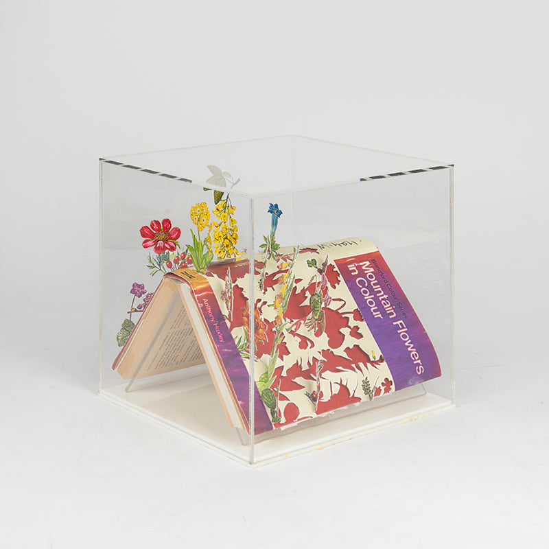 A cut book construction in an acrylic case by Jack Milroy, titled Mountain Flowers II. 