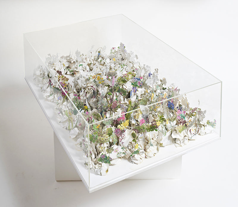 Cut and crumpled book pages construction in an acrylic case by Jack Milroy, titled Plantes de Rocaille