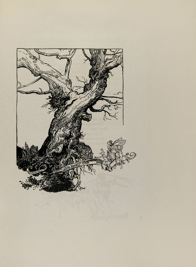 The first Arthur Rackham deluxe edition of this publication of Shakespeare's A Midsummer Night's Dream published in London in 1908, colour illustrated