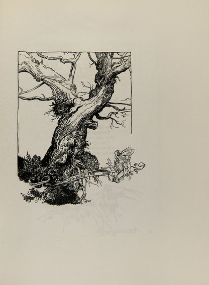 The first Arthur Rackham deluxe edition of this publication of Shakespeare's A Midsummer Night's Dream published in London in 1908, colour illustrated
