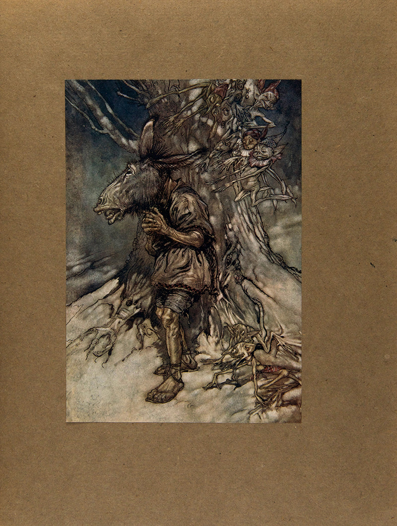 The first Arthur Rackham deluxe edition of this publication of Shakespeare's A Midsummer Night's Dream published in London in 1908, colour illustrated