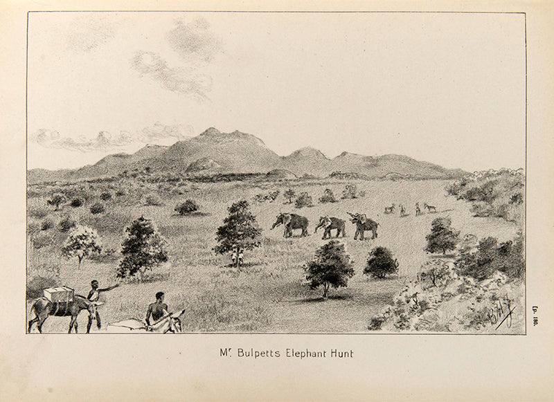 First edition of W. N. McMillan's Expeditions and Big Game Hunting by Burchard Heinrich Jessen, a scarce account of four hunting trips up the Blue Nile and East Africa.