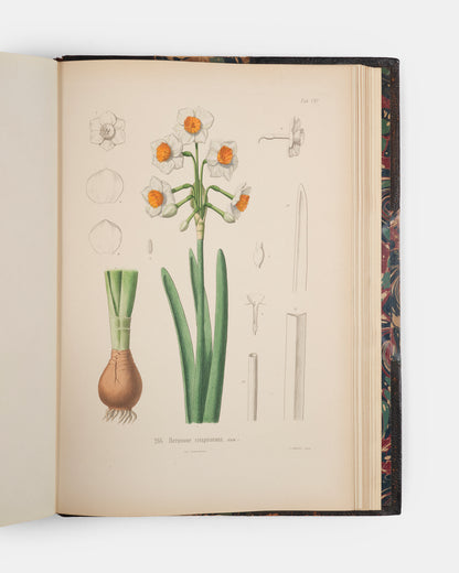 First edition of one of the rarest and most beautifully illustrated botanical works, Alexis Jordan's Icones ad Floram Europae, published between 1866 and 1903.