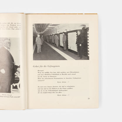 First edition, first printing of this powerful work of social and political criticism.