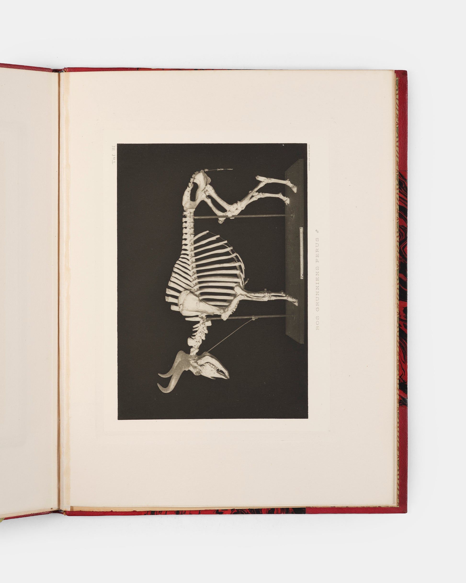 First edition of Sven Hedin's Scientific Results of a Journey in Central Asia 1899-1902, the presentation copy to the Foreign Minister of Sweden Alfred Lagerheim (1843-1924) inscribed to him by Sven Hedin.