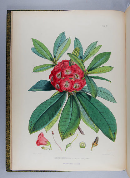 The first edition of botanist Joseph Dalton Hooker's important colour plate book The Rhododendrons of Sikkim-Himalaya, published in 1849.