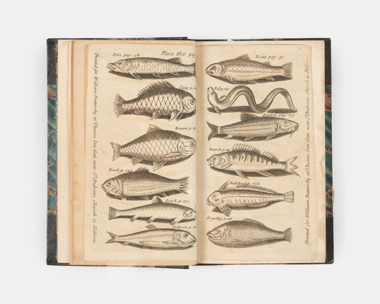 The enlarged third edition of James Chetham's authoritative work on freshwater fishing, illustrated with a charming engraved plate depicting twelve species of fish.