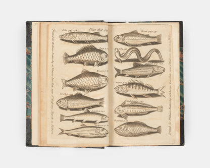 The enlarged third edition of James Chetham's authoritative work on freshwater fishing, illustrated with a charming engraved plate depicting twelve species of fish.