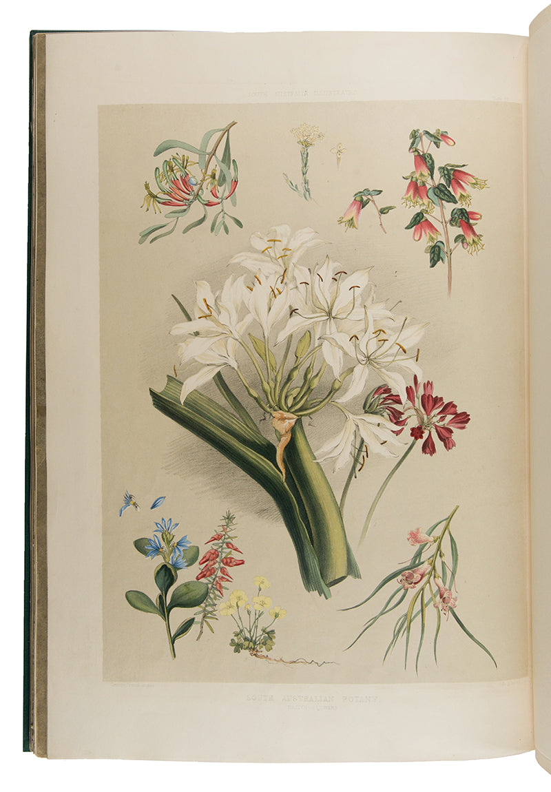 First edition of South Australia Illustrated by George French Angas, a fresh and bright copy bound in the original parts.