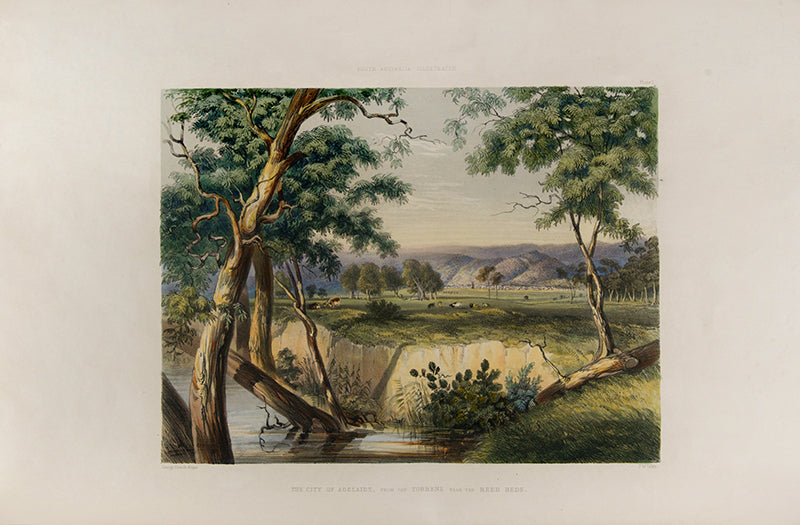 First edition of South Australia Illustrated by George French Angas, a fresh and bright copy bound in the original parts.