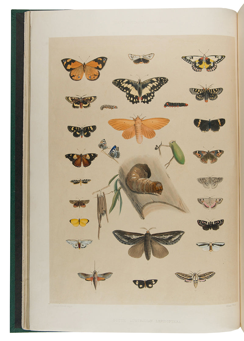 First edition of South Australia Illustrated by George French Angas, a fresh and bright copy bound in the original parts.