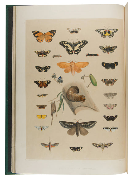 First edition of South Australia Illustrated by George French Angas, a fresh and bright copy bound in the original parts.