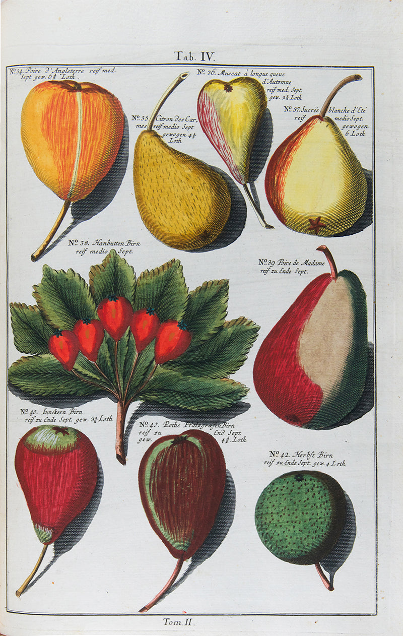 Pomologia,