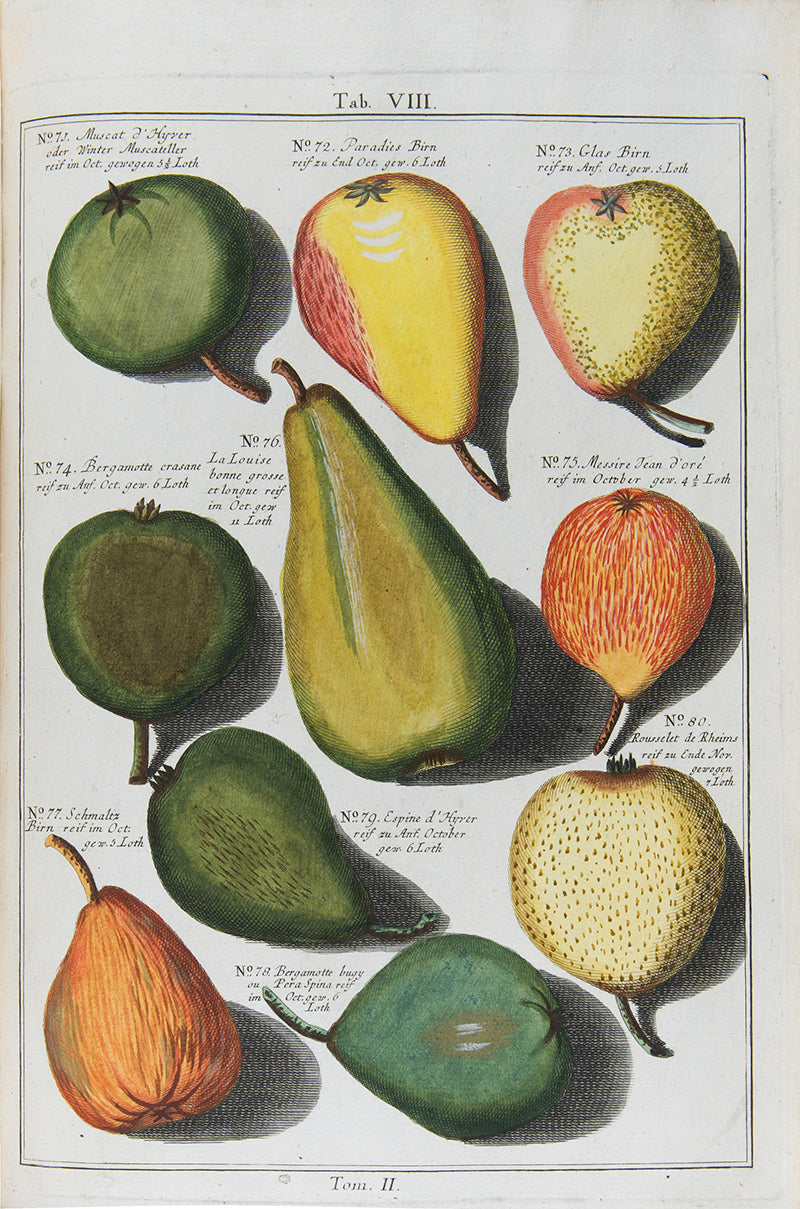 Pomologia,