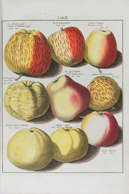 Pomologia,