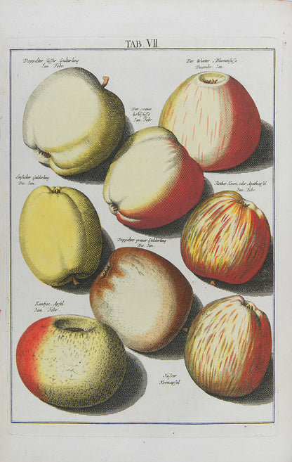 Pomologia,
