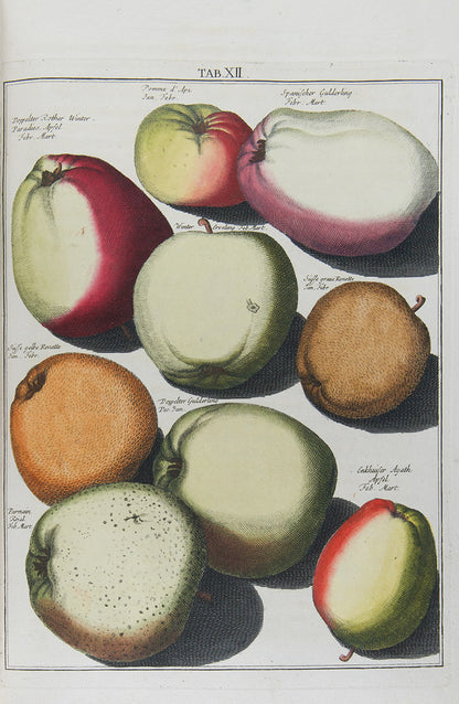 Pomologia,