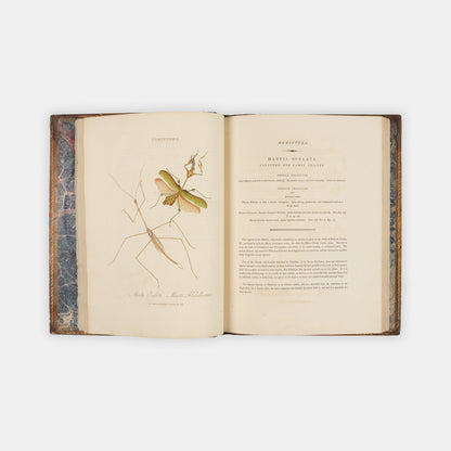 First edition of Edward Donovan's important and beautifully hand-coloured entomological work, Epitome of the Natural Histry of the Insects of China, published in 1798.