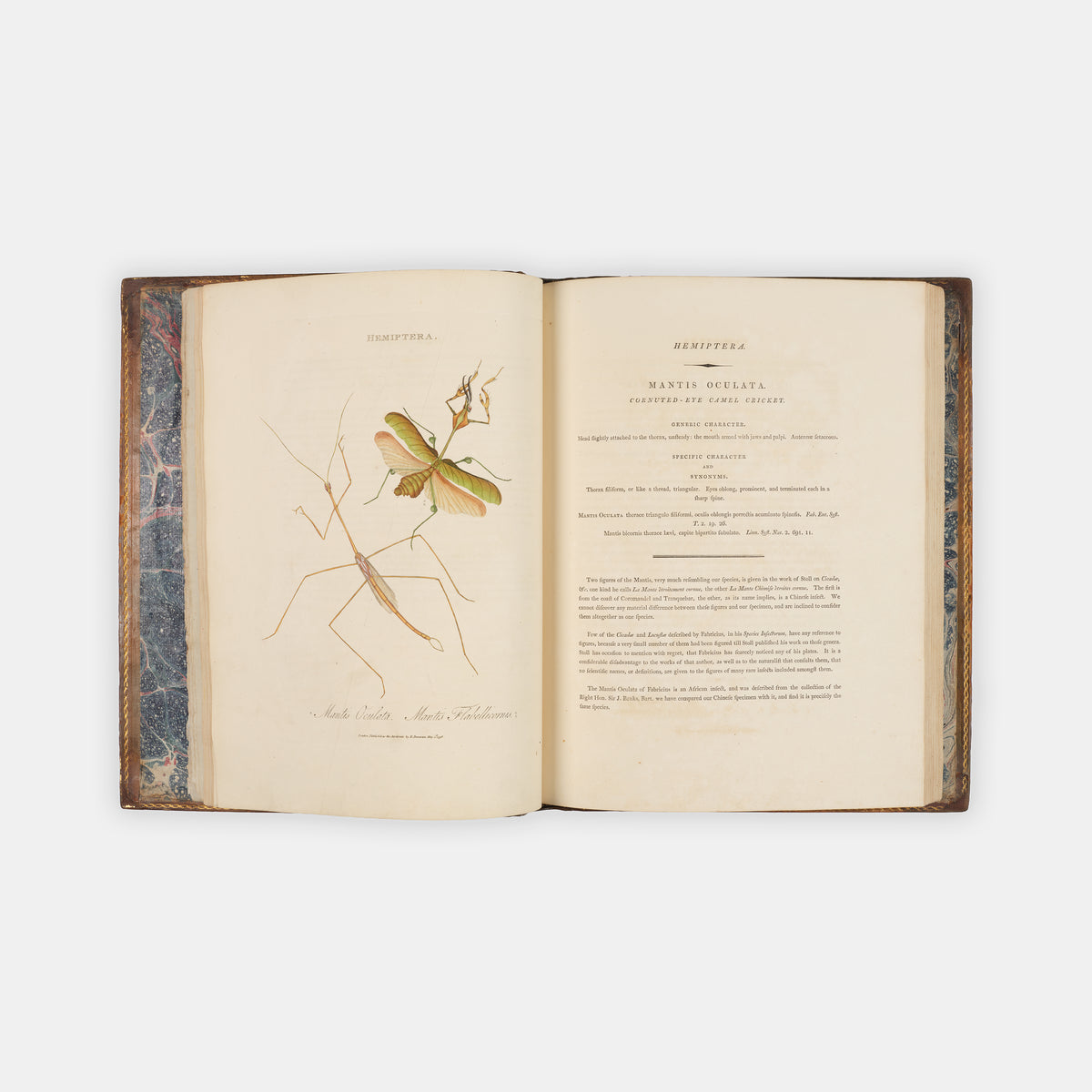 First edition of Edward Donovan's important and beautifully hand-coloured entomological work, Epitome of the Natural Histry of the Insects of China, published in 1798.
