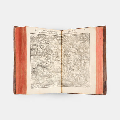 First Latin edition of Sebastian Munster's Cosmographiae Universalis, for the first time with 39 town views, and new world maps and map of America.