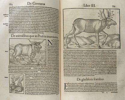 First Latin edition of Sebastian Munster's Cosmographiae Universalis, for the first time with 39 town views, and new world maps and map of America.