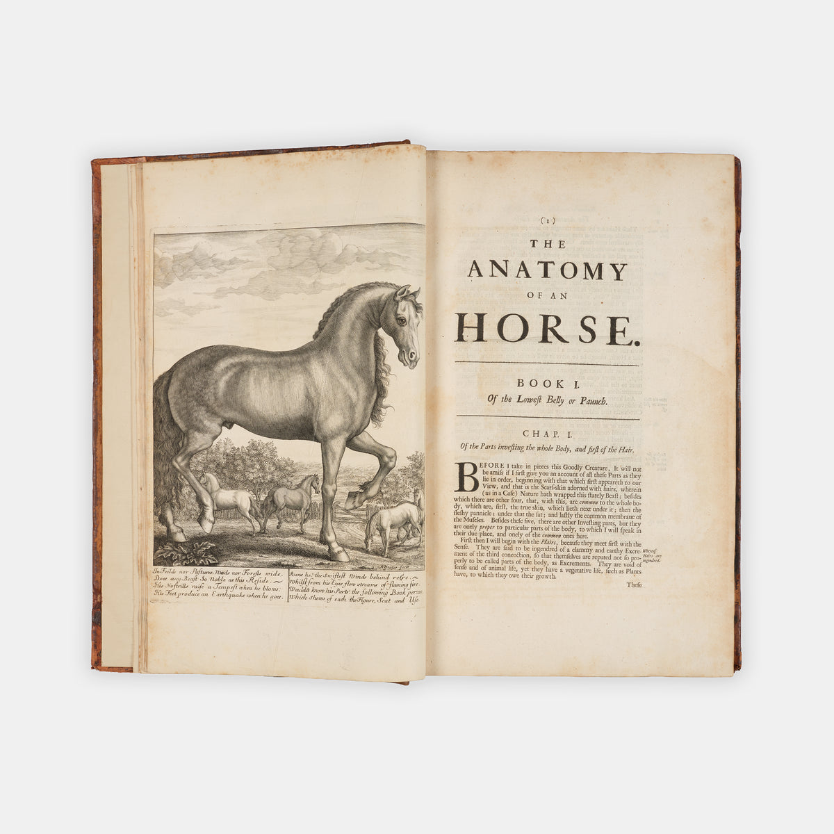 The first edition of one of the earliest works on horse anatomy in the English language, The Anatomy of an Horse by Andrew Snape, published in 1683.