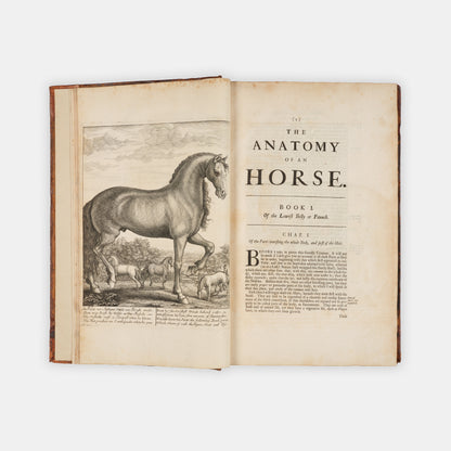 The first edition of one of the earliest works on horse anatomy in the English language, The Anatomy of an Horse by Andrew Snape, published in 1683.
