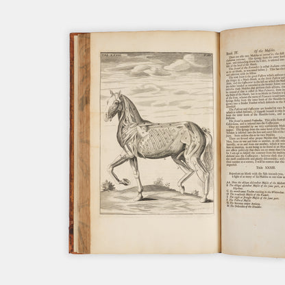 The first edition of one of the earliest works on horse anatomy in the English language, The Anatomy of an Horse by Andrew Snape, published in 1683.