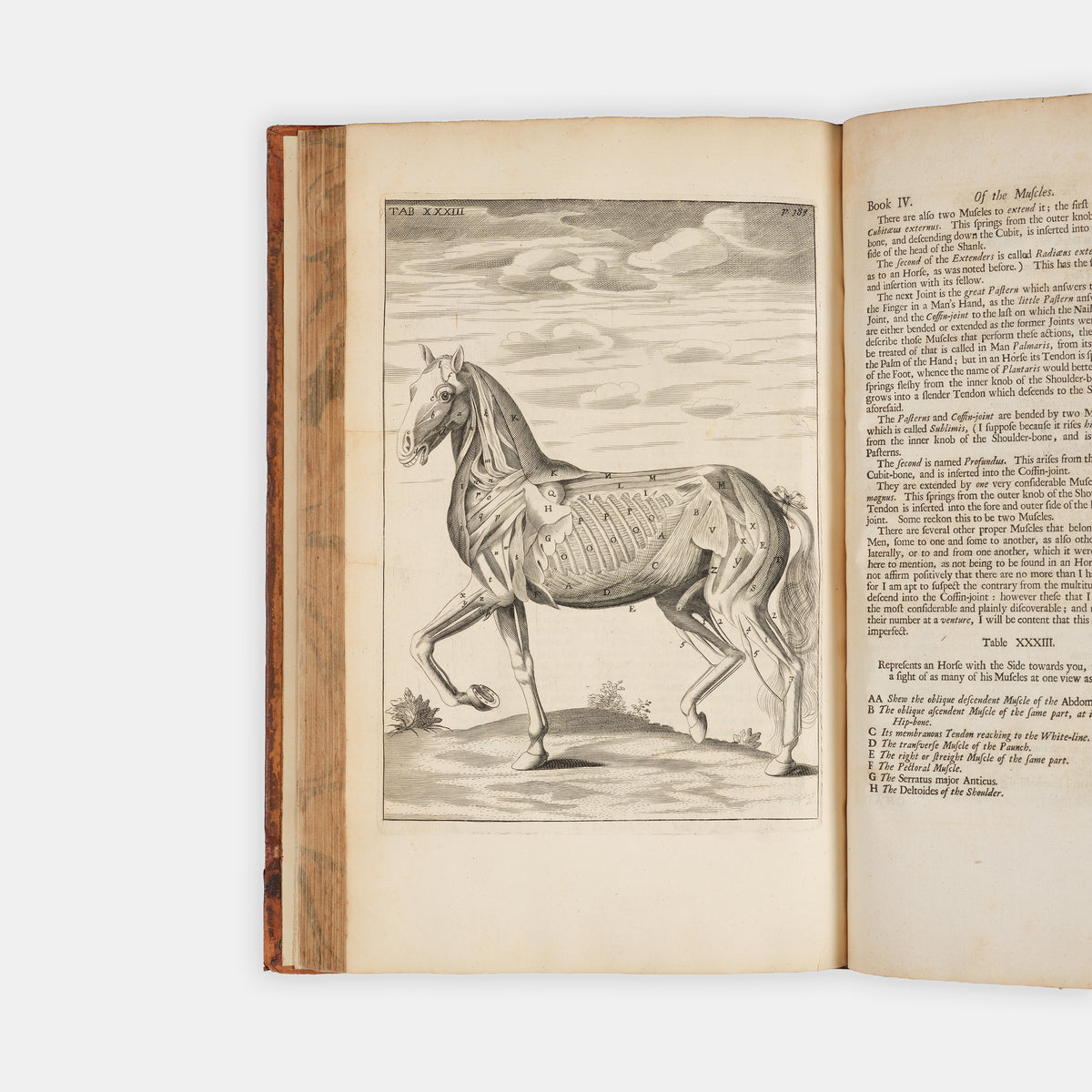 The first edition of one of the earliest works on horse anatomy in the English language, The Anatomy of an Horse by Andrew Snape, published in 1683.