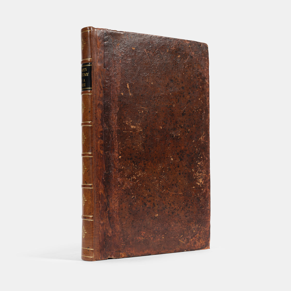 The first edition of one of the earliest works on horse anatomy in the English language, The Anatomy of an Horse by Andrew Snape, published in 1683.