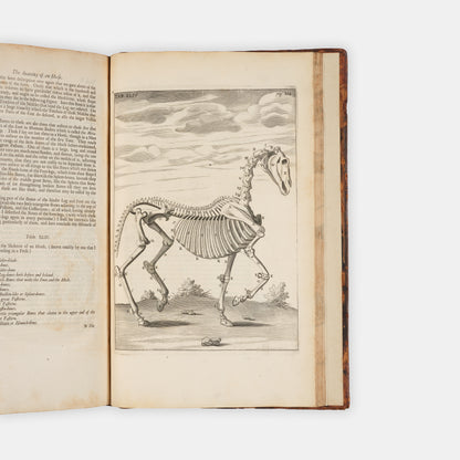 The first edition of one of the earliest works on horse anatomy in the English language, The Anatomy of an Horse by Andrew Snape, published in 1683.