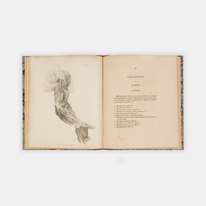 First edition of this early work by the prominent surgeon and anatomical illustrator Charles Bell, A Series of Engravings, Explaining the Course of the Nerves, published in 1803.