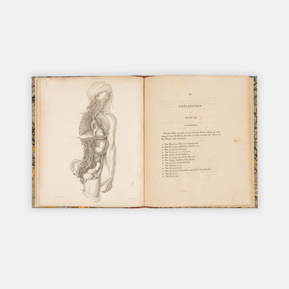 First edition of this early work by the prominent surgeon and anatomical illustrator Charles Bell, A Series of Engravings, Explaining the Course of the Nerves, published in 1803.
