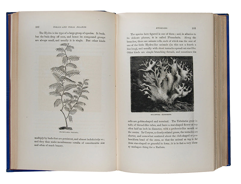 First edition of the important geological book Corals & Coral Islands by James Dwight Dana, a presentation copy inscribed by the author.