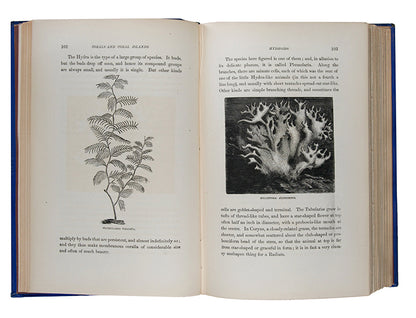 First edition of the important geological book Corals & Coral Islands by James Dwight Dana, a presentation copy inscribed by the author.