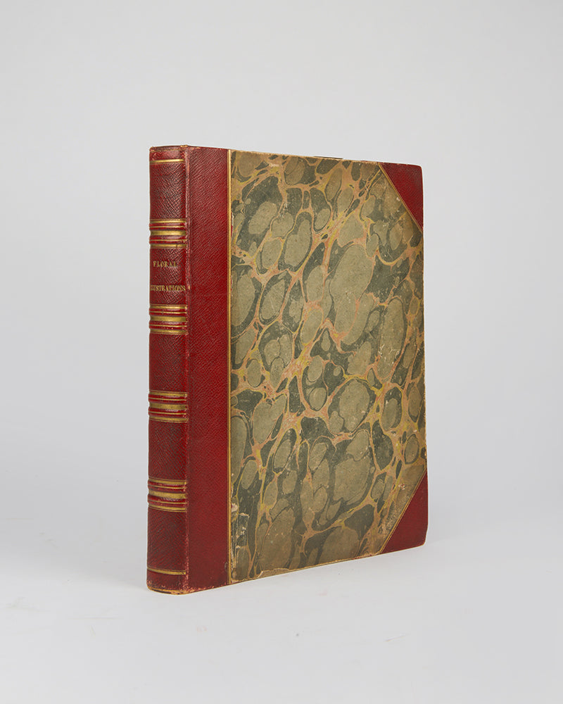 First and only edition of Floral Illustrations of the Seasons, 55 fine floral plates by Margaret Roscoe, published in seven parts between 1829 and 1831.