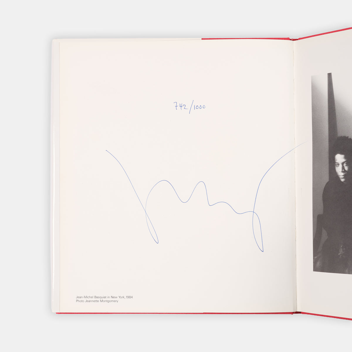 Signed by the artist. Illustrated with 15 colour plates. A fine example with the original dust jacket.