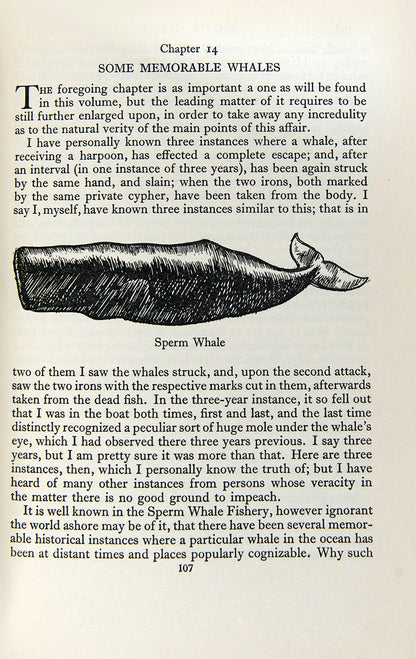 A very good copy of Herman Melville's Moby Dick - perhaps one of the most famous tales ever told in an illustrated edition, finely bound by Bayntun Riviere.