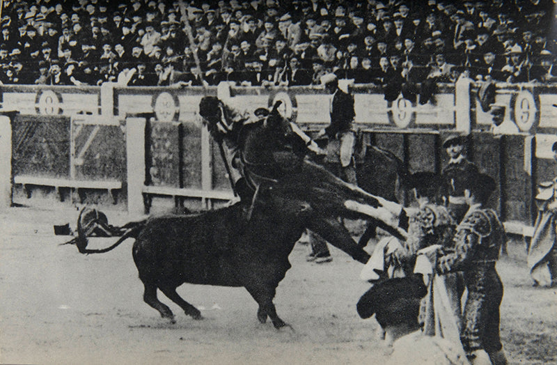 Death in the Afternoon is Ernest Hemingway's exploration of professional bullfighting, a spectacle he saw more as a heroic, tragic ceremony than as a sport.
