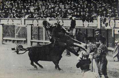 Death in the Afternoon is Ernest Hemingway's exploration of professional bullfighting, a spectacle he saw more as a heroic, tragic ceremony than as a sport.