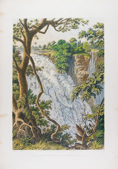 The Victoria Falls Zambesi River