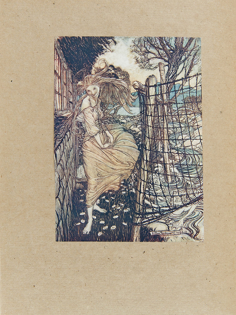 A beautiful copy of Undine illustrated by Arthur Rackham. 