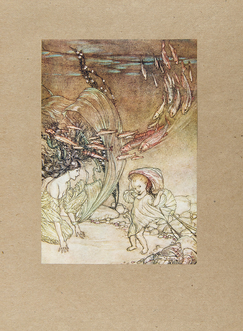A beautiful copy of Undine illustrated by Arthur Rackham. 