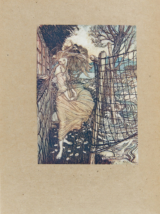 A beautiful copy of Undine illustrated by Arthur Rackham. 