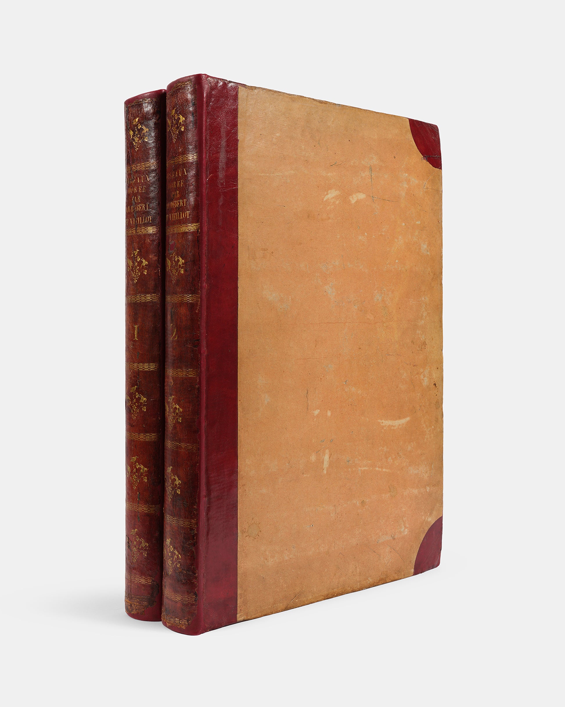 First edition of one of the most beautiful bird books ever published, Jean Baptiste Audebert's Oiseaux Dorés ou Reflets Metallaques, one of only 15 copies with captions printed in gold.