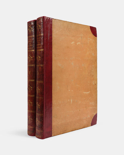 First edition of one of the most beautiful bird books ever published, Jean Baptiste Audebert's Oiseaux Dorés ou Reflets Metallaques, one of only 15 copies with captions printed in gold.
