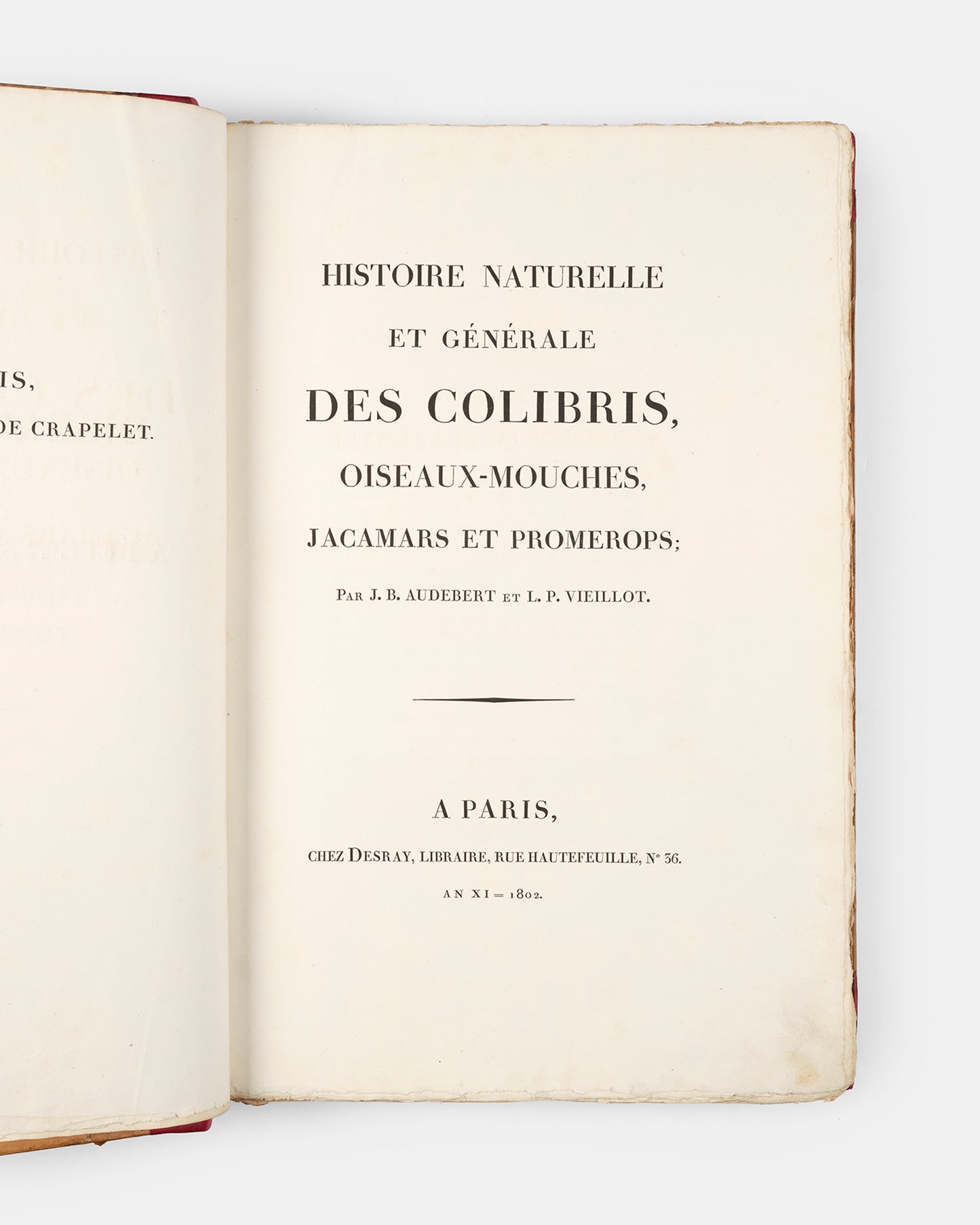 First edition of one of the most beautiful bird books ever published, Jean Baptiste Audebert's Oiseaux Dorés ou Reflets Metallaques, one of only 15 copies with captions printed in gold.